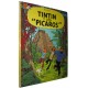 TINTIN Y LOS "PÍCAROS"