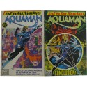 AQUAMAN ESPECIAL VERANO. COMPLETA