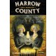 HARROW COUNTY Núm 2: DOBLE NARRACIÓN