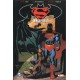 SUPERMAN/ BATMAN: ENEMIGOS PÚBLICOS