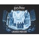 HARRY POTTER. LUGARES MÁGICOS. UN ÁLBUM DE ESCENAS DE PAPEL