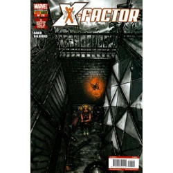 X- FACTOR VOL 3 Núm 29
