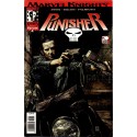 MARVEL KNIGHT PUNISHER VOL IINúm. 4