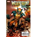 WOLVERINE: SAGA
