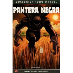 PANTERA NEGRA: ¿QUIÉN ES PANTERA NEGRA?